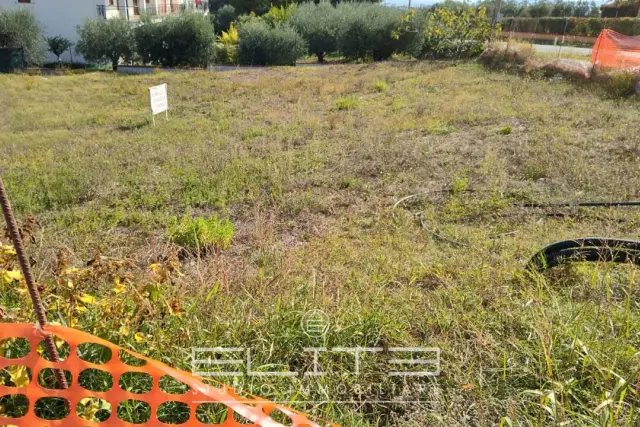 insertion image