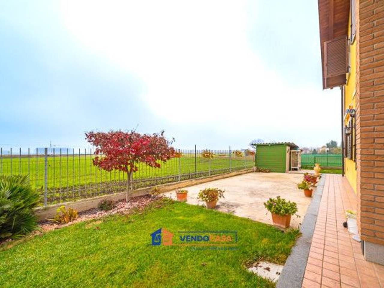 immagine annuncio 5 di 15