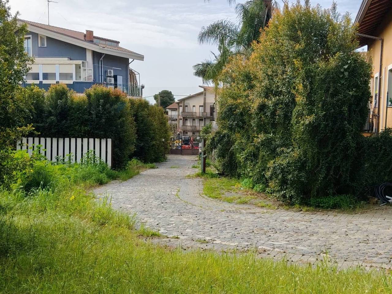 immagine annuncio 12 di 13