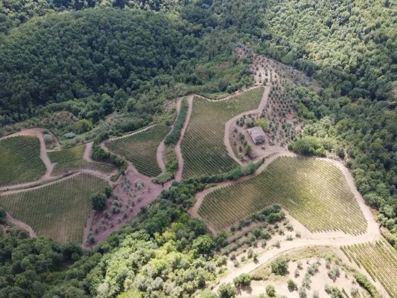 Azienda agricola in , Gaiole In Chianti, {3} - Foto 1