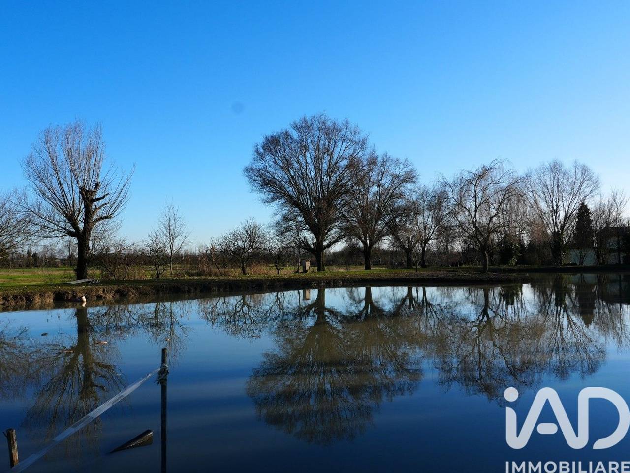 immagine annuncio 3 di 9