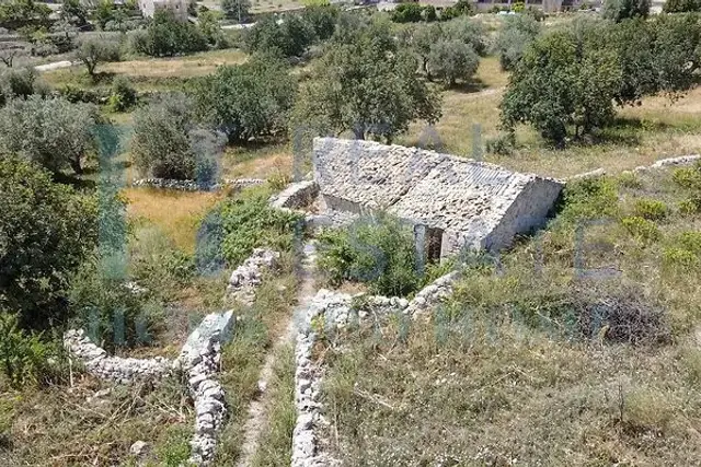 insertion image