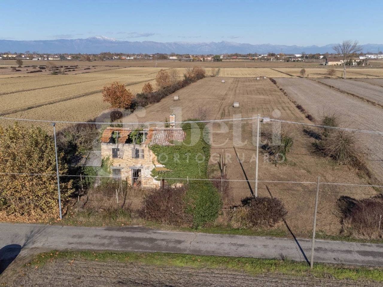 immagine annuncio 3 di 12