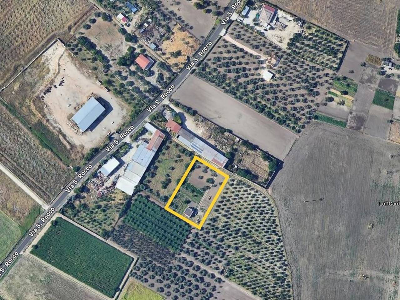 immagine annuncio 11 di 12