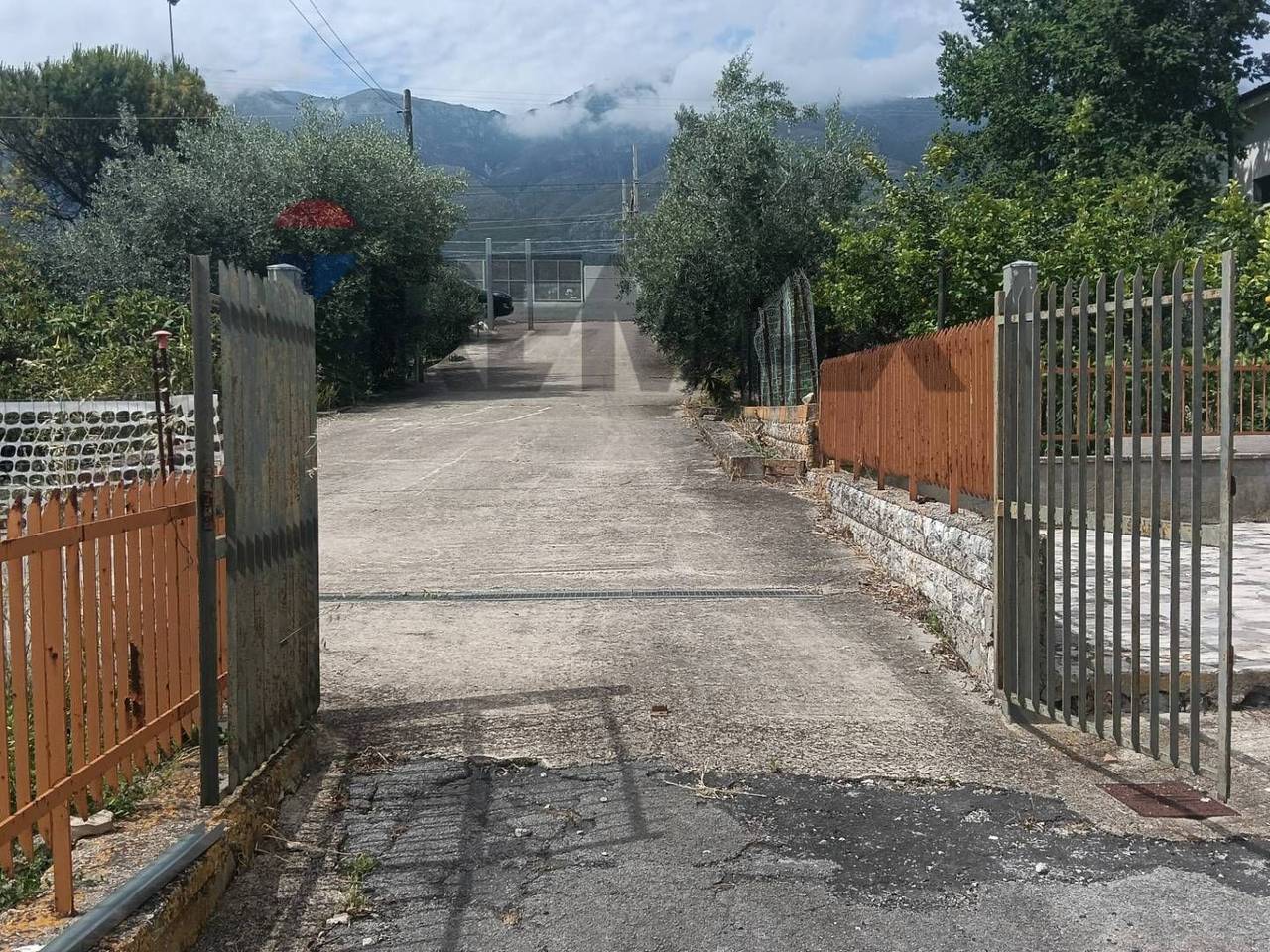 immagine annuncio 6 di 9