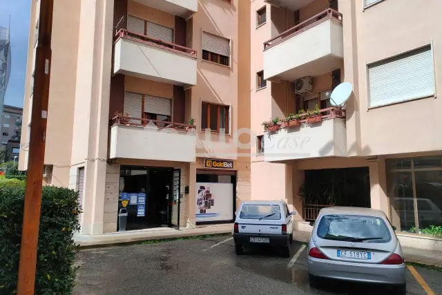 insertion image