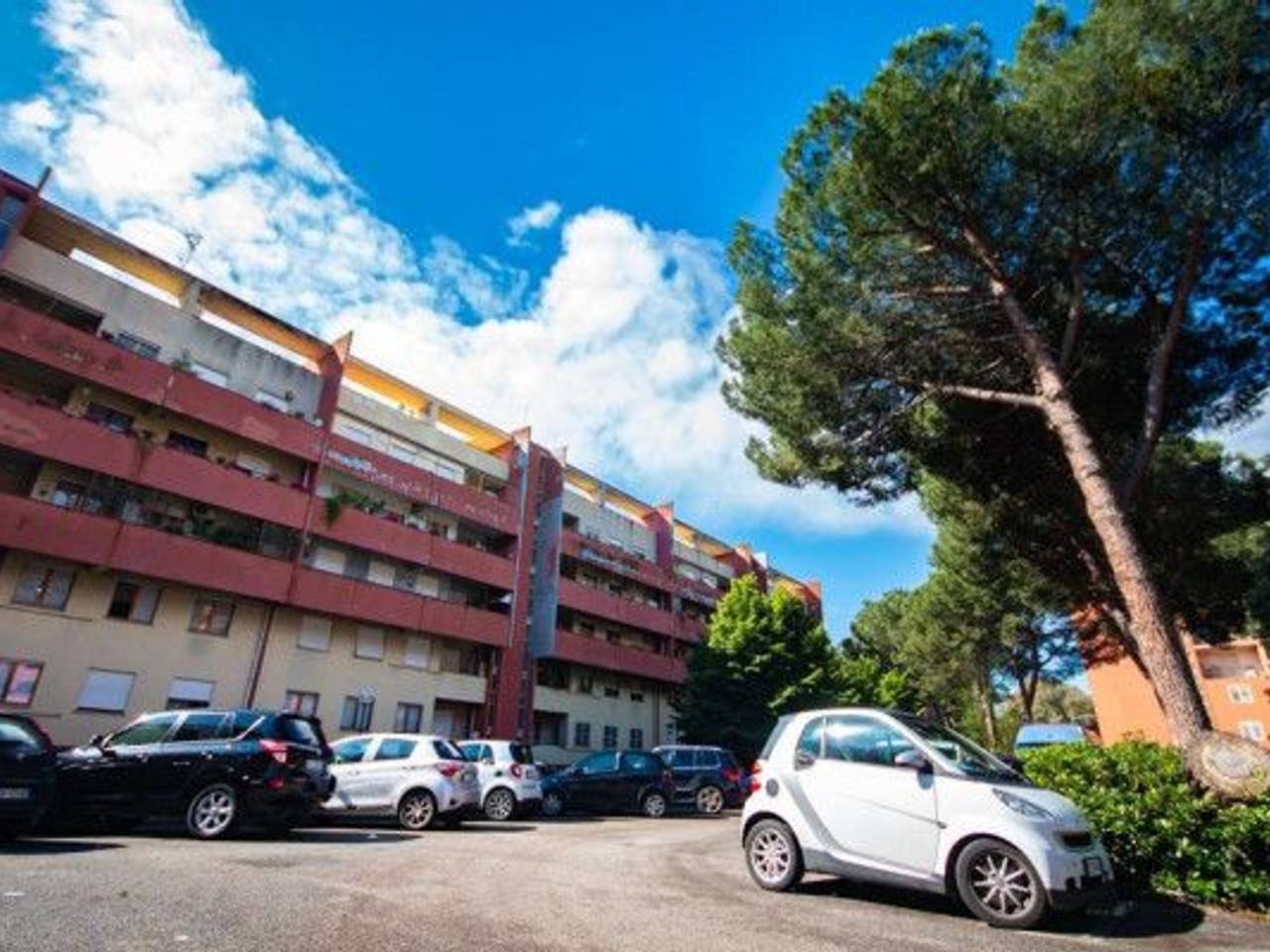 immagine annuncio 12 di 15