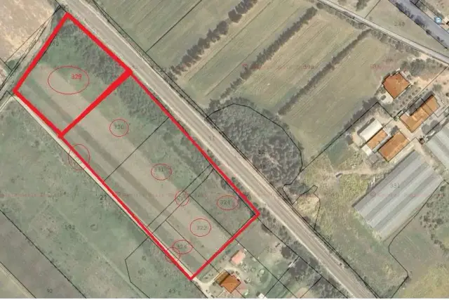 insertion image