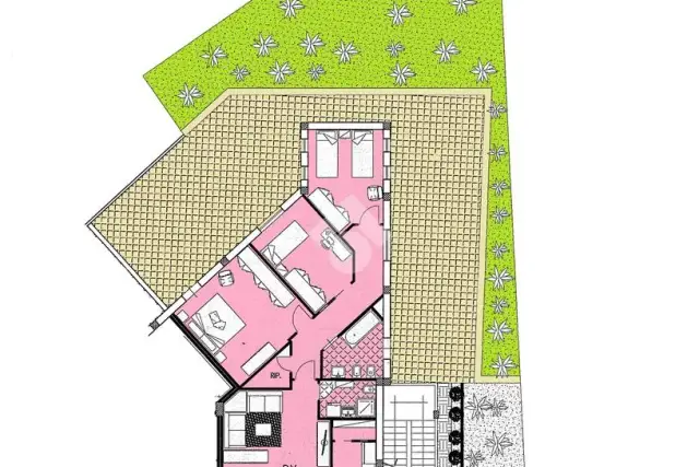 insertion image