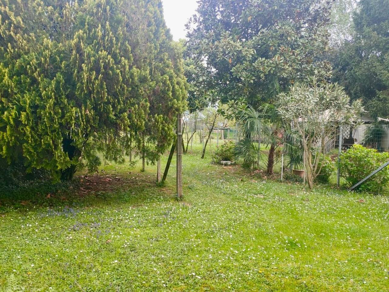 immagine annuncio 12 di 14