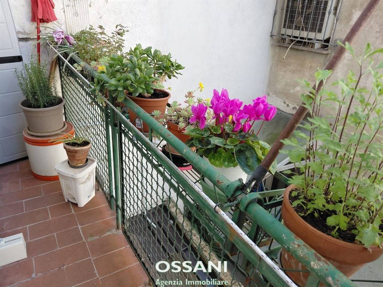 immagine annuncio 2 di 9