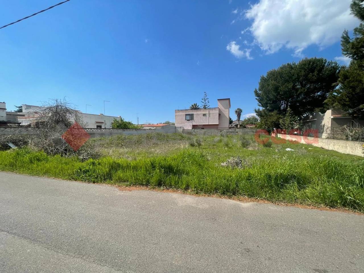 immagine annuncio 3 di 7