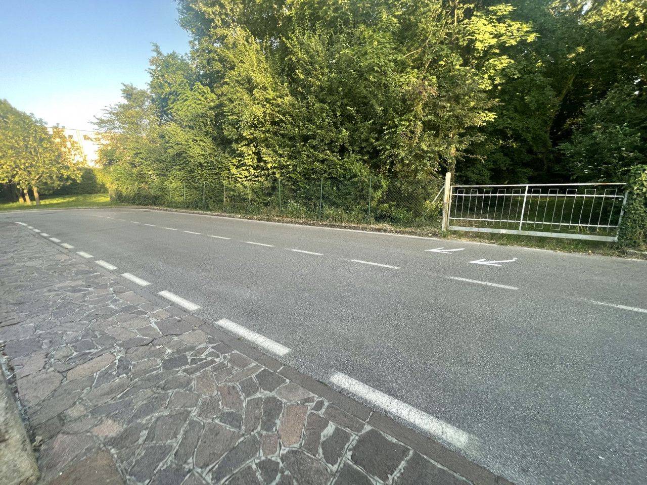 immagine annuncio 5 di 6