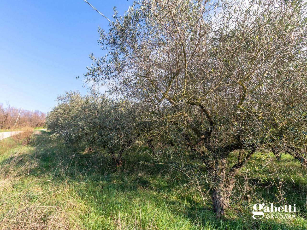 immagine annuncio 7 di 14