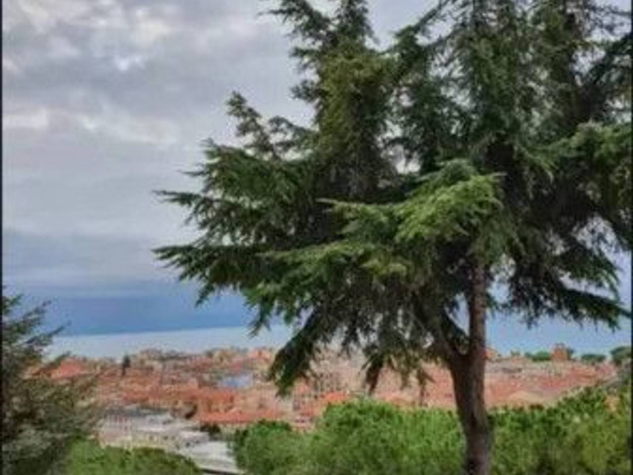 immagine annuncio 4 di 6