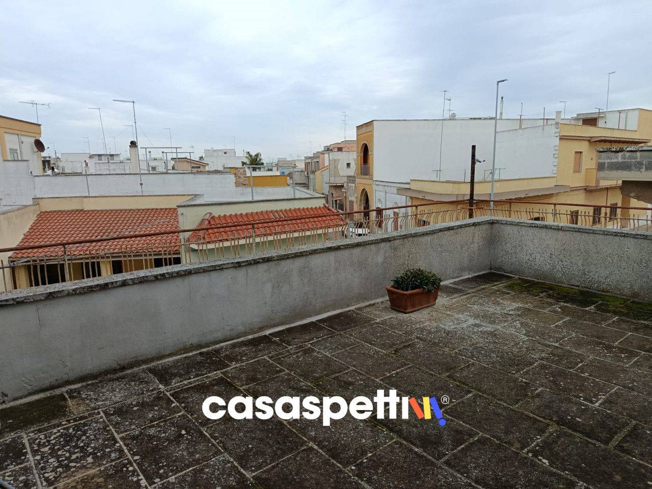 immagine annuncio 9 di 14