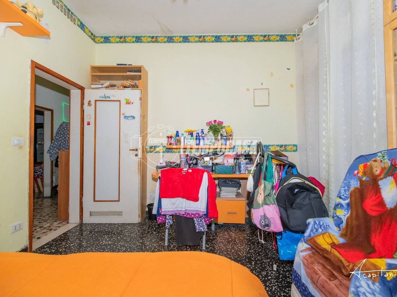 immagine annuncio 6 di 14