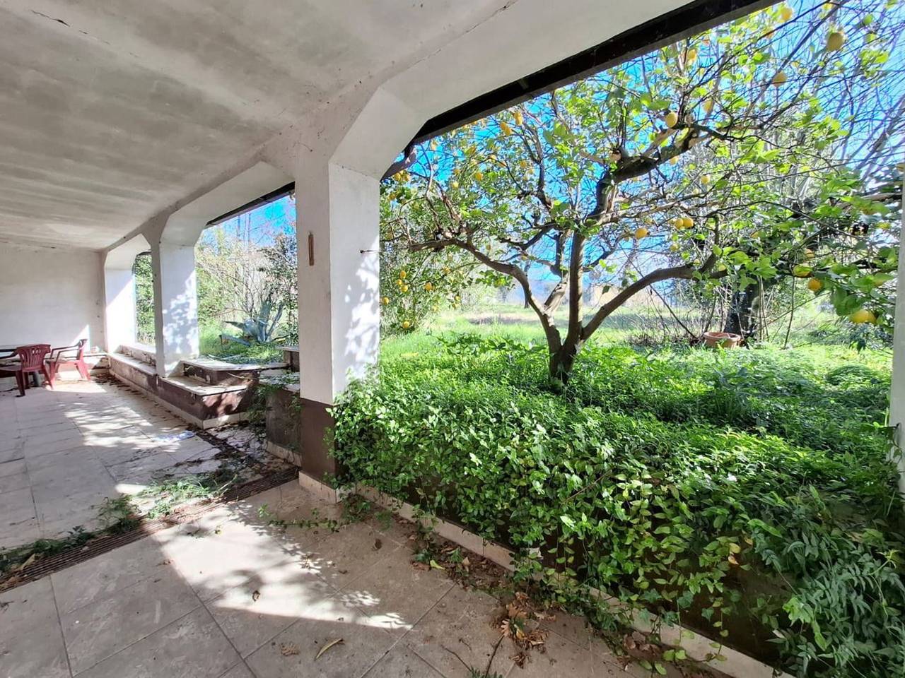 immagine annuncio 1 di 14