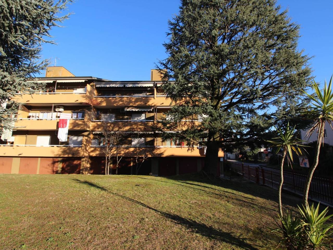 immagine annuncio 14 di 15