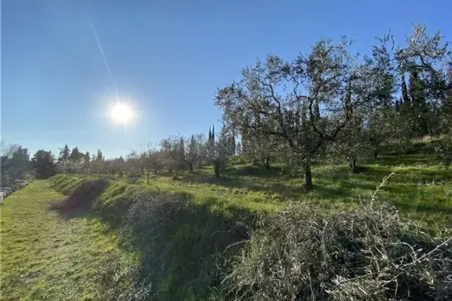 Terreno agricolo, Scandicci - Foto 1