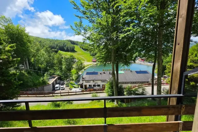 insertion image