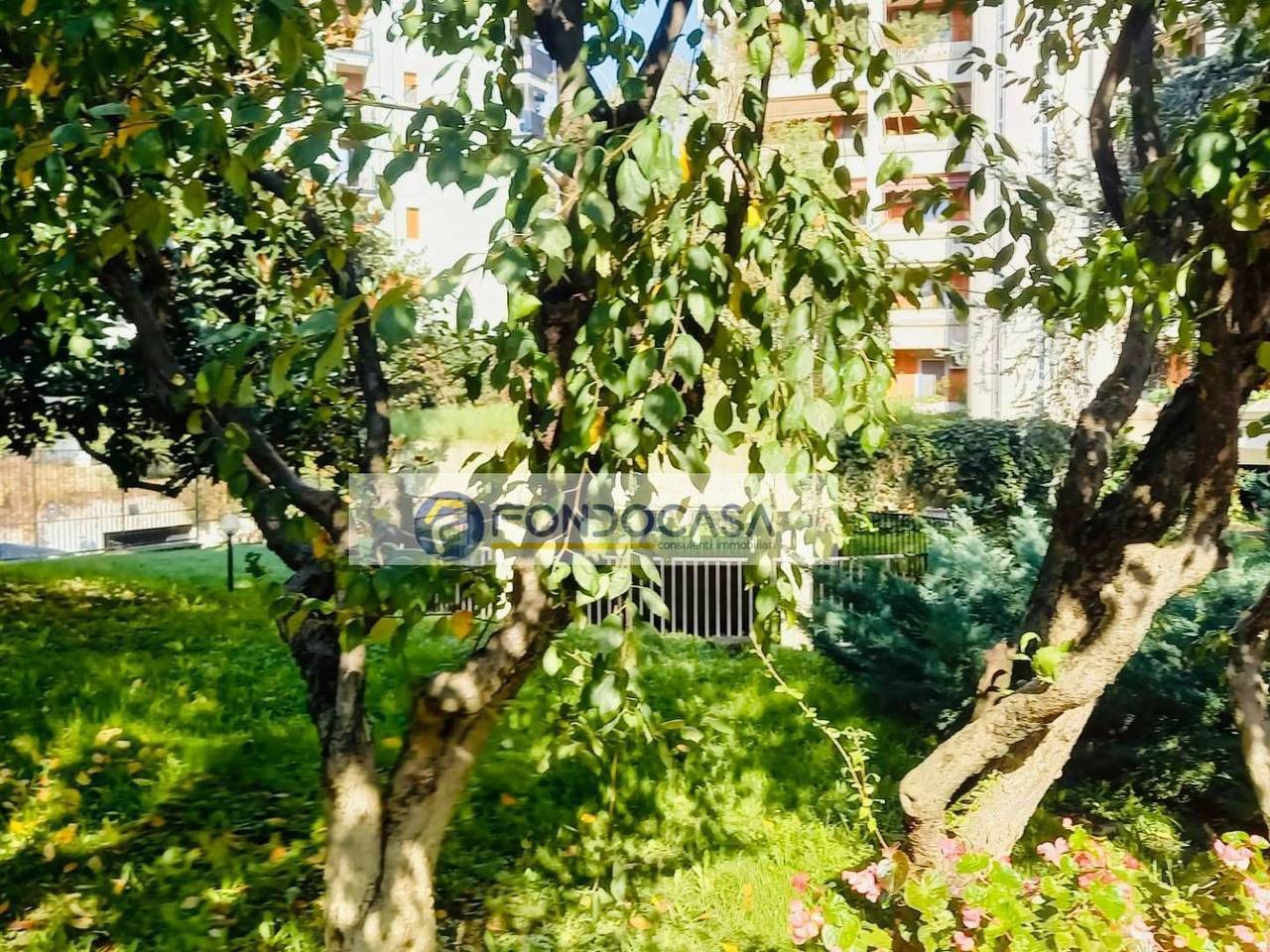 immagine annuncio 8 di 14