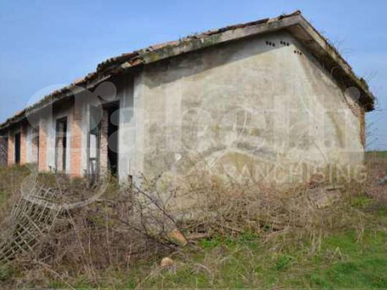 immagine annuncio 7 di 13