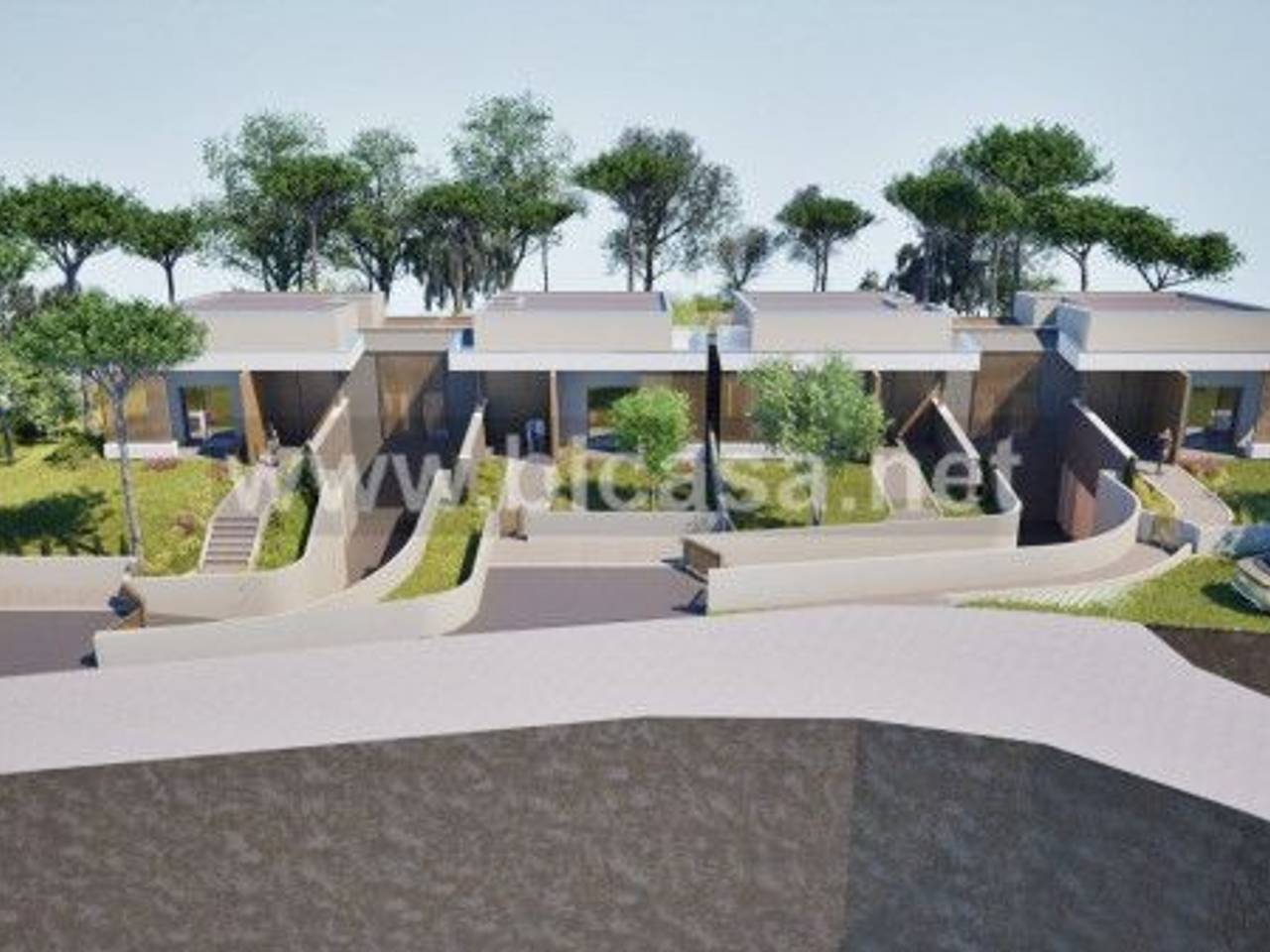 immagine annuncio 11 di 12