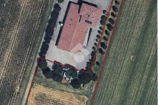 insertion image