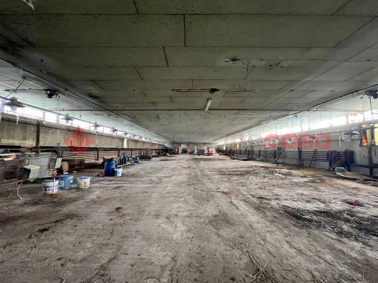 immagine annuncio 10 di 14