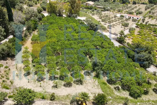 Terreno agricolo in Via Tommaso Fazello 228, Noto - Foto 1