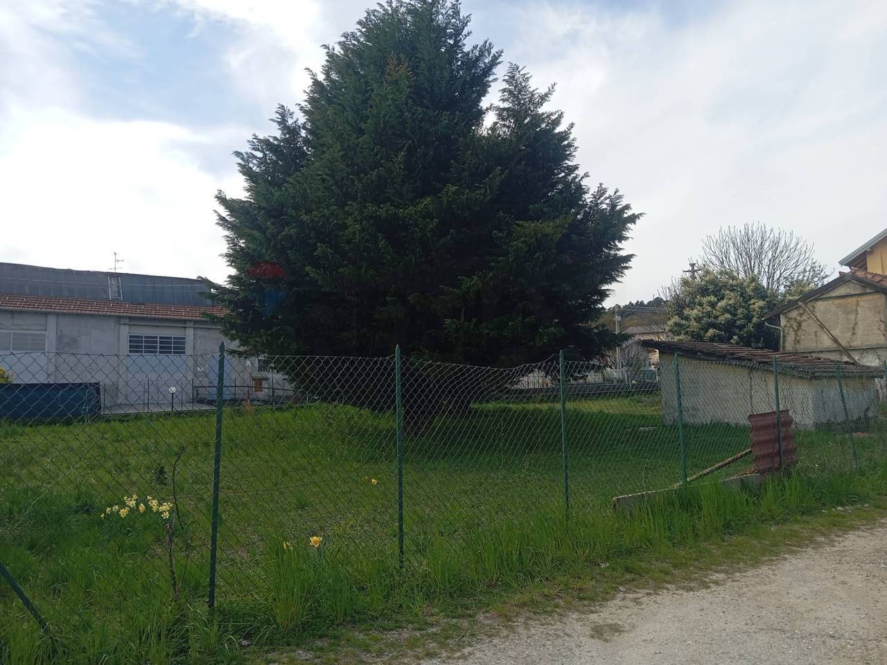 immagine annuncio 13 di 15