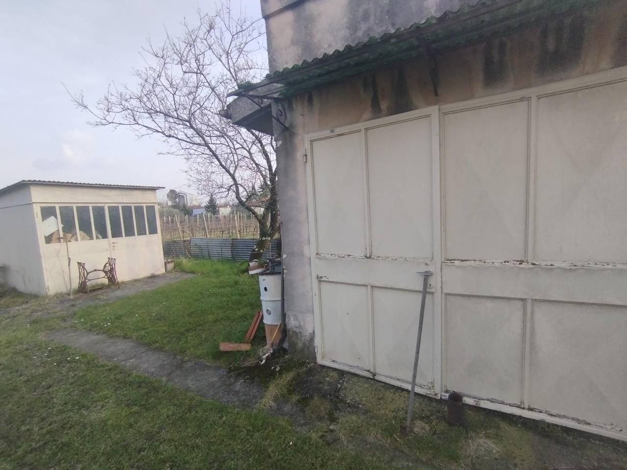 immagine annuncio 12 di 14