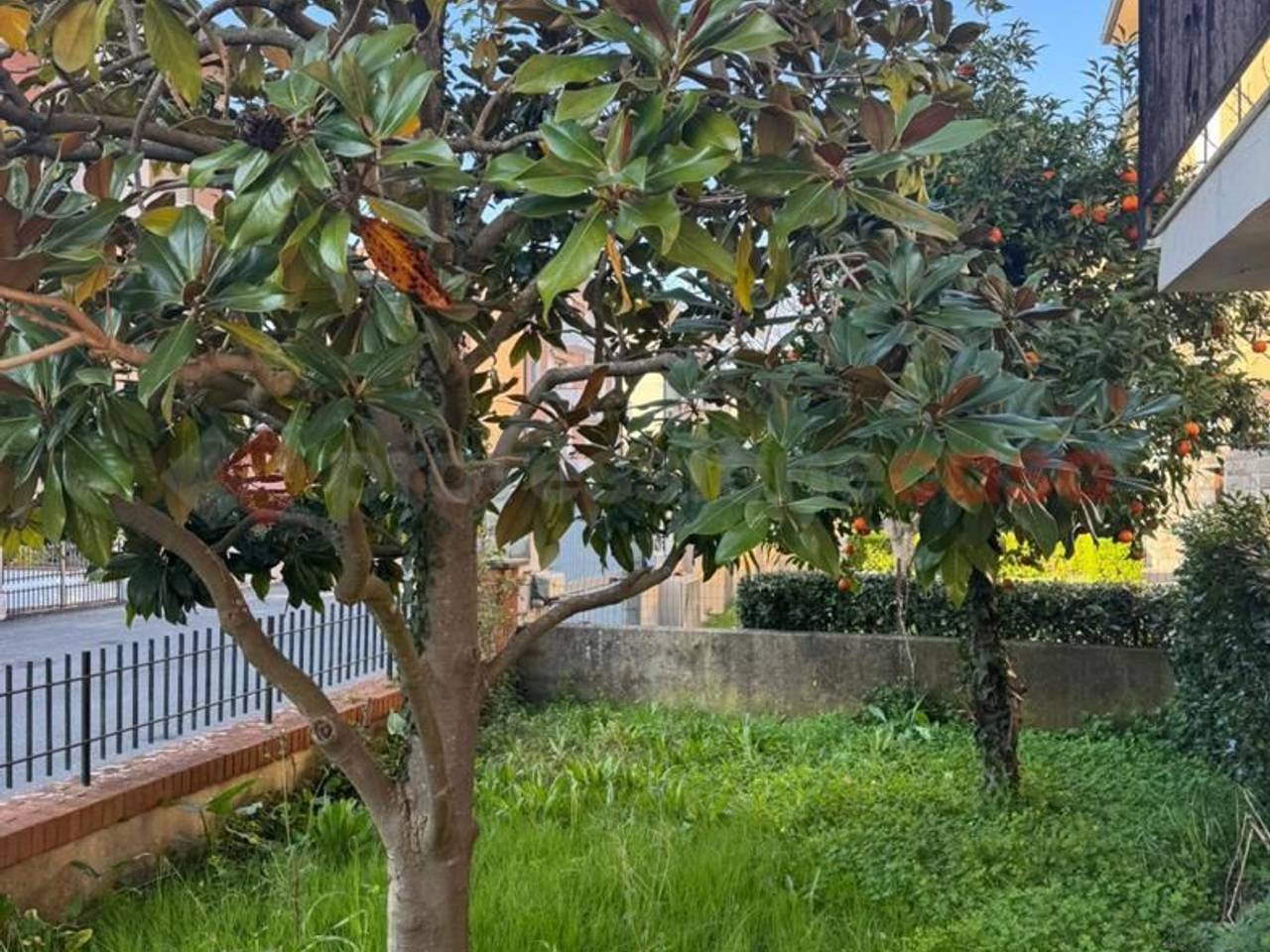 immagine annuncio 2 di 9