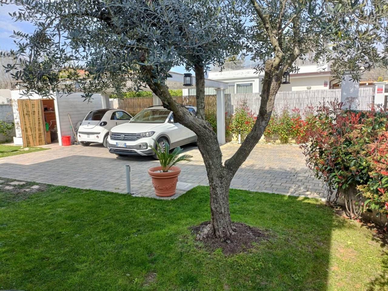 immagine annuncio 3 di 15