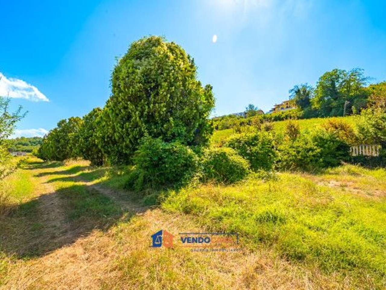 immagine annuncio 6 di 14