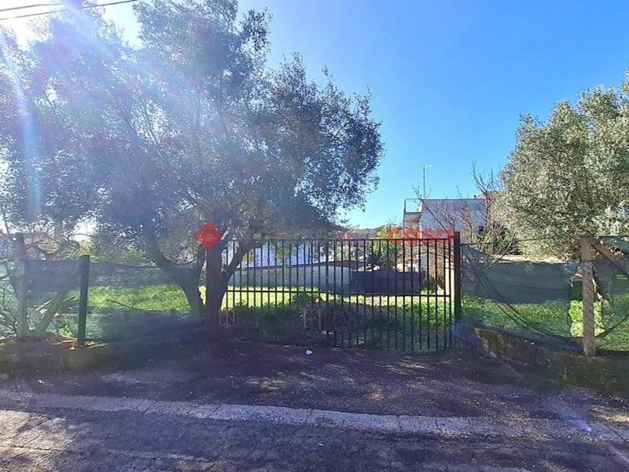 immagine annuncio 5 di 7