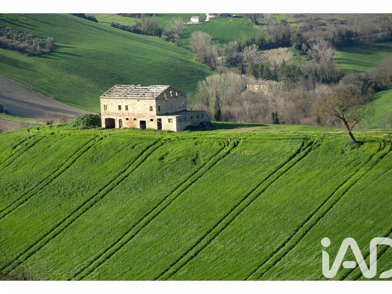 immagine annuncio 13 di 15