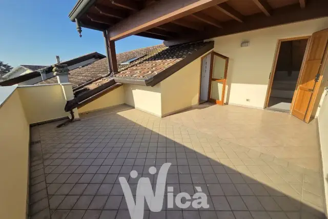 insertion image