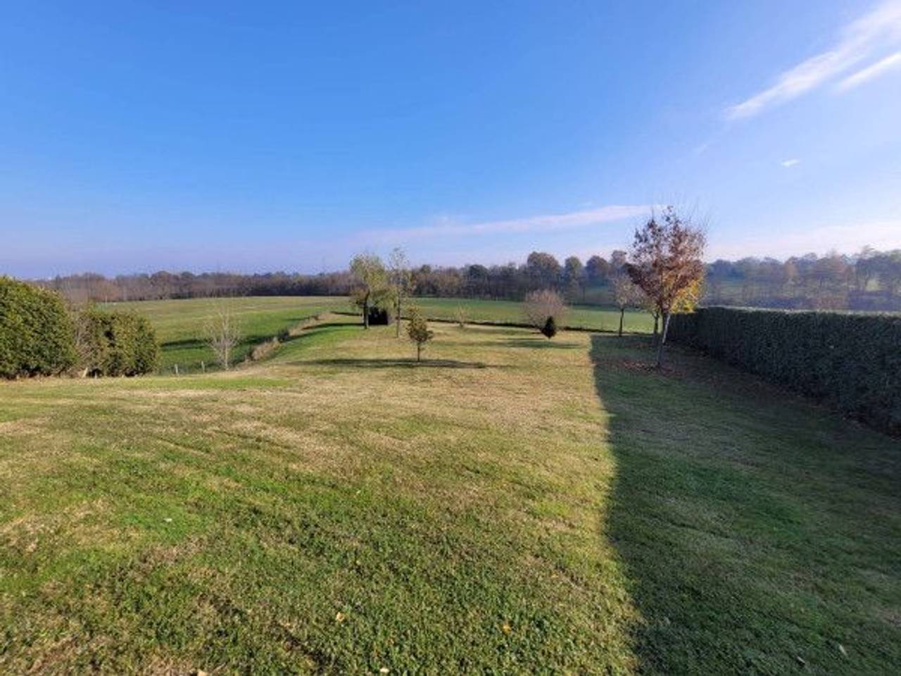 immagine annuncio 1 di 3