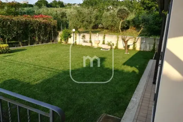 insertion image