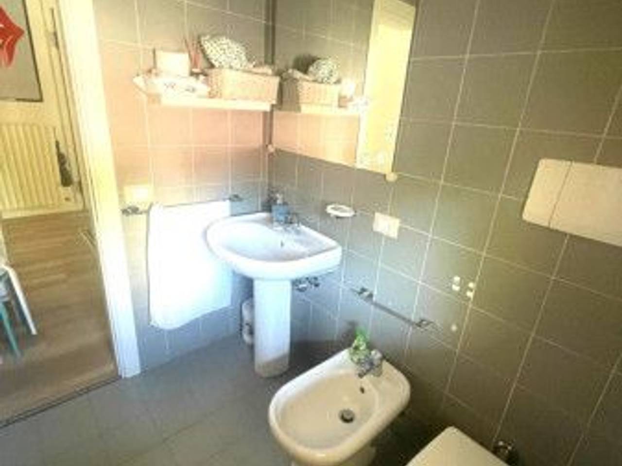 immagine annuncio 12 di 14