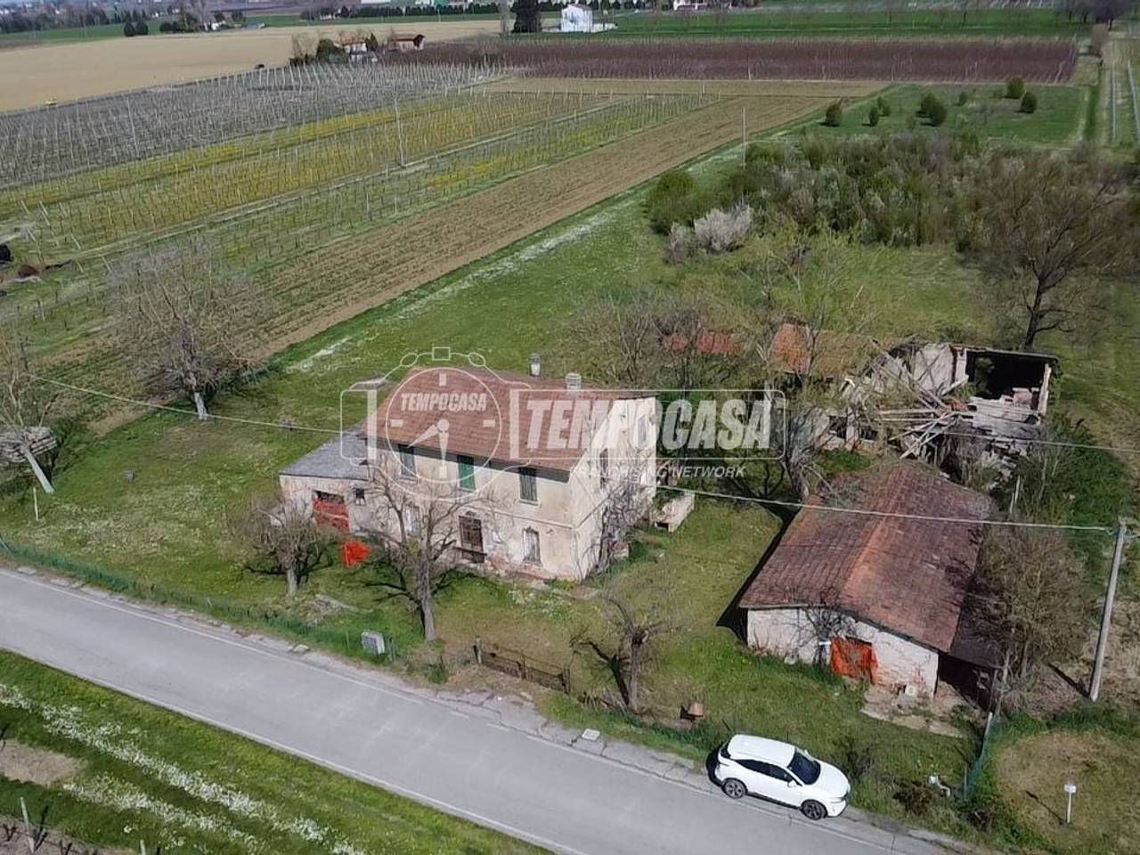 immagine annuncio 1 di 12