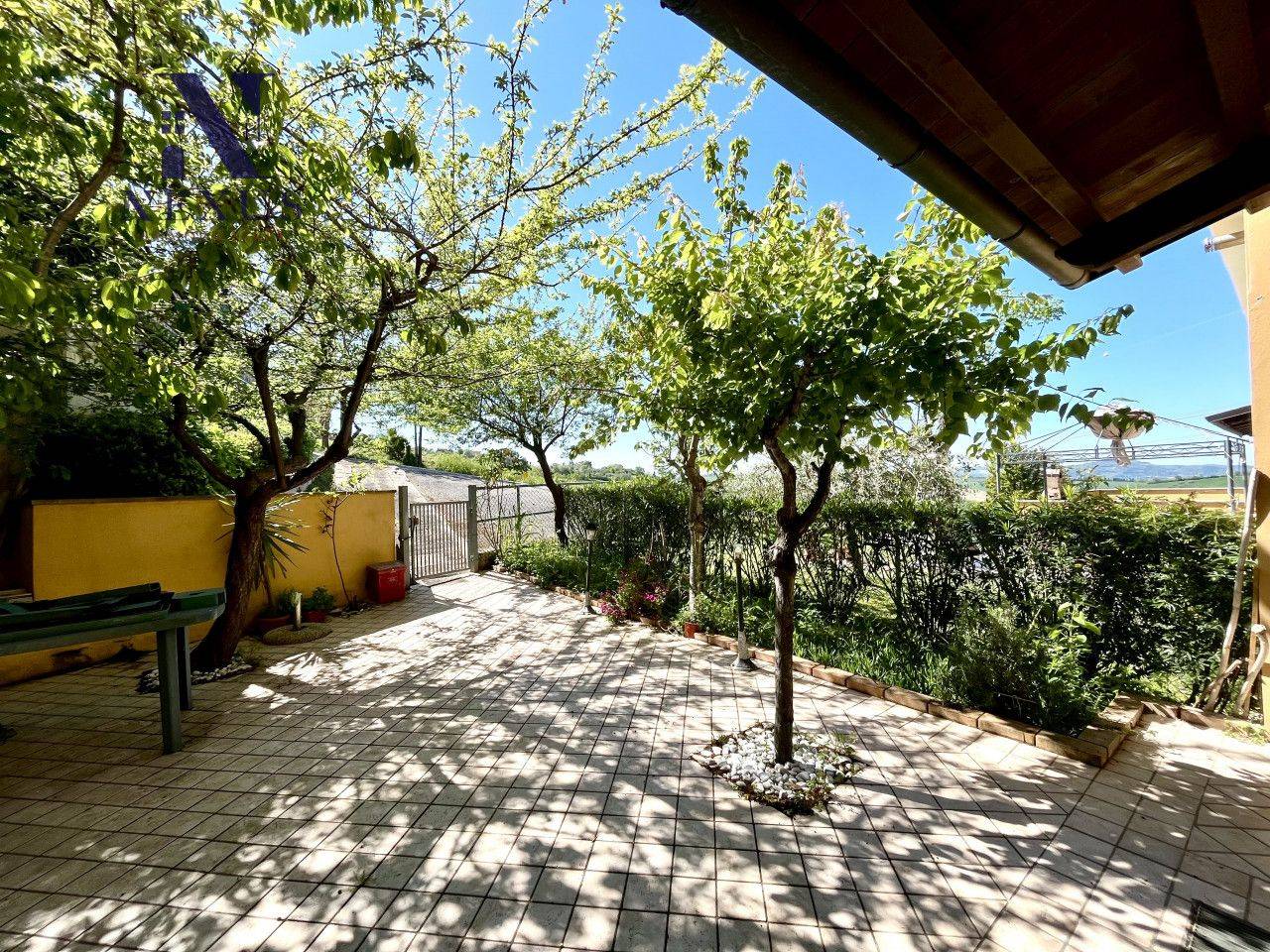 immagine annuncio 10 di 14