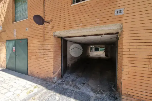 insertion image