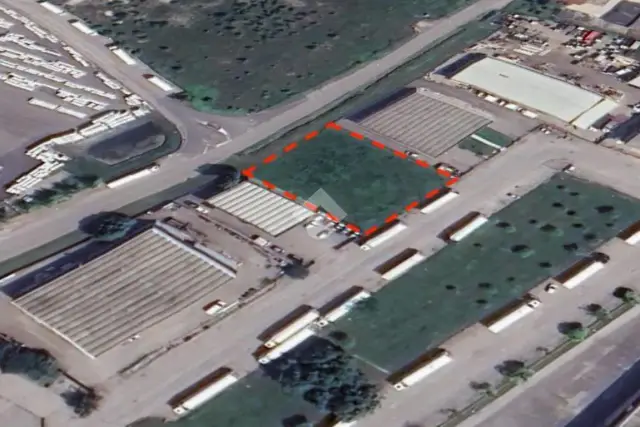 insertion image