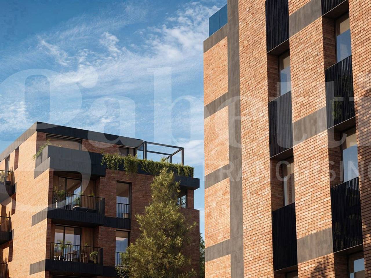 immagine annuncio 10 di 12