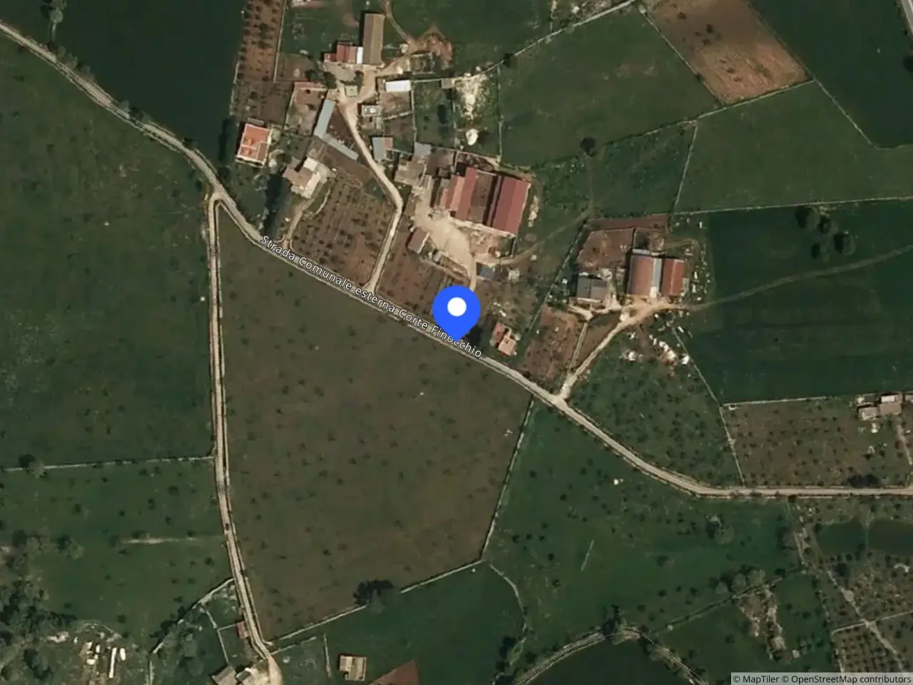 Capannone in Contrada Talpullo, Santeramo In Colle, {3} - Foto 1