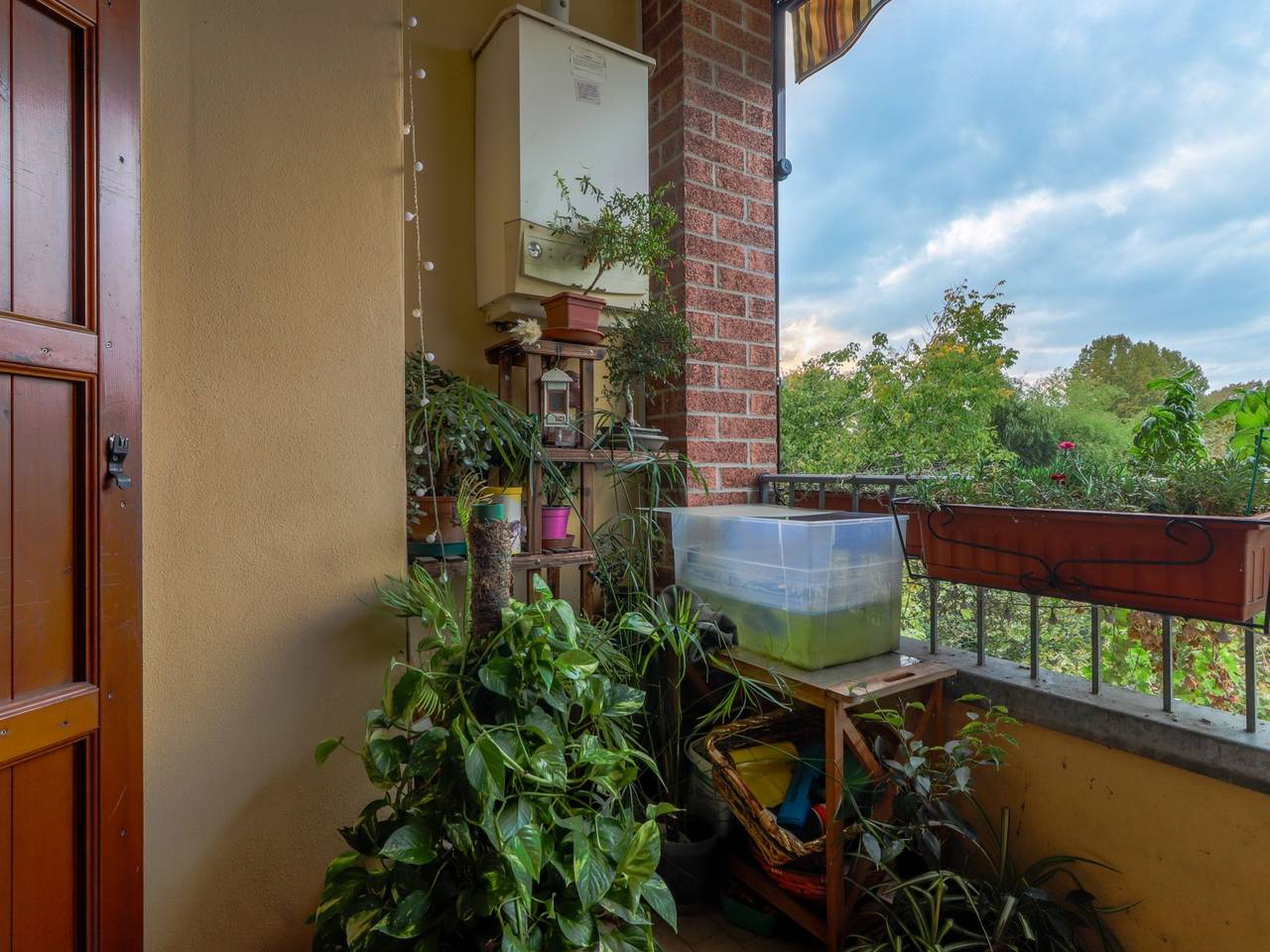 immagine annuncio 13 di 15