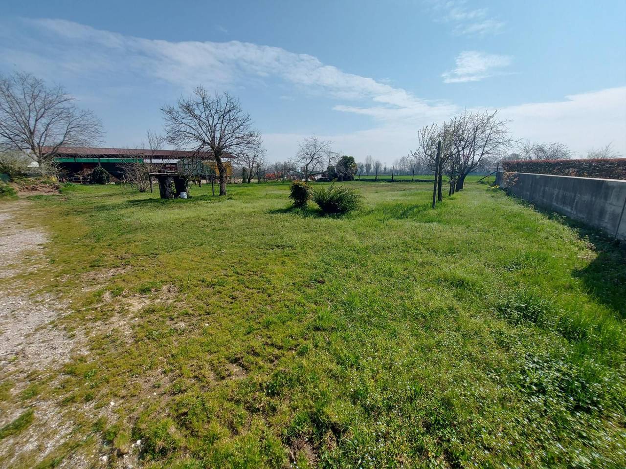 immagine annuncio 5 di 8